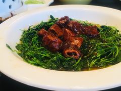草头圈子-新南华大酒店(长寿店)