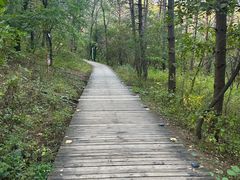 -帽儿山国家森林公园