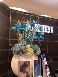 -八佰伴8008星级形象店