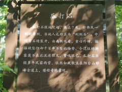 -阳台山自然风景区