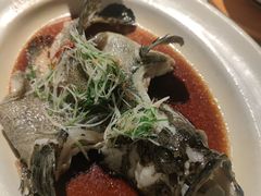 清蒸石斑-万丽轩·粤菜(王府井金茂万丽酒店)