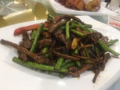 烧汁茶树菇炒牛柳-朱仔记食府(江南大道店)