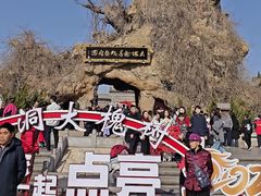 -大槐树寻根祭祖园