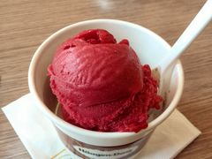 桑果雪芭·比利时巧克力-哈根达斯(石家庄北国店)