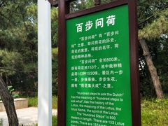 -南戴河国际娱乐中心