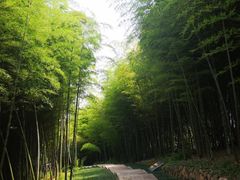 -良渚古城遗址公园