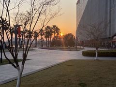 -金沙湖公园