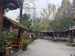 -青城甲(青城山店)