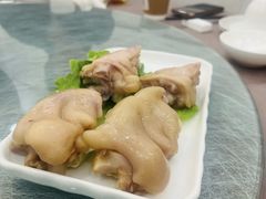-丁老爷子苏香圆