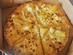 -达美乐比萨(双阳支路店)