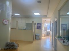 -瑞派宠物医院·24小时骨科·心脏·核磁(哈尔滨南岗店)