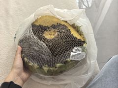 -果蔬好生活超市(乐堤港店)