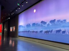 -罗红摄影艺术馆