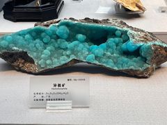 -湖南省地质博物馆