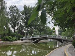 -团结湖公园