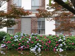 -太湖湾开元名庭大酒店