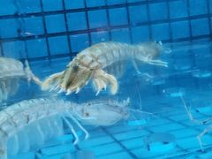 -协成海鲜火锅(情侣路店)