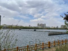 -长白岛森林公园