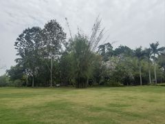 -中国科学院西双版纳热带植物园