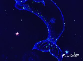 说是海洋馆，其实就算是一个水产馆吧， 在门口就感觉不