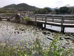 -红山村