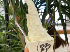-野人先生Gelato(上海长宁龙之梦店)
