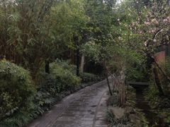 -成都市活水公园