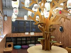 -MOCHA明星猫咖(田子坊店)