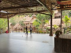 -海南槟榔谷黎苗文化旅游区