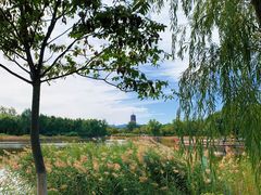 -永定河休闲森林公园