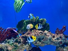 -海合安武汉极地海洋公园