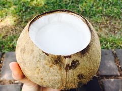 -椰爺爺·椰子冻砵仔糕