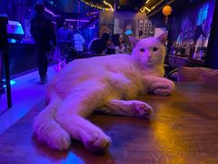 -vimi便利店酒吧