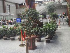 -曲阜东站
