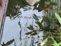 -活水公园