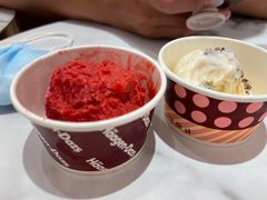 -哈根达斯(芳圆里店)