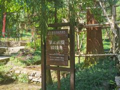 -东天目山风景区