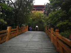 -大屏嶂森林公园