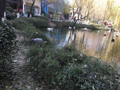 景点-郑州市动物园