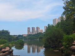 -重庆彩云湖湿地公园