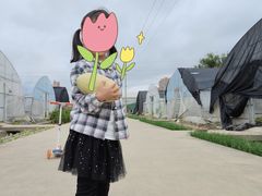 -菊园百果园