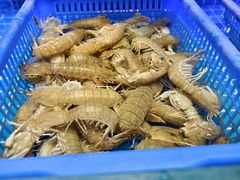 -悦海·家宴·冰花皮皮虾大锅贴(宝龙店)