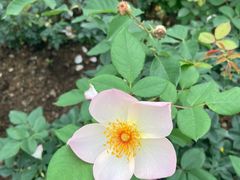 -人民公园(罗湖区)