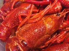 清酒冰镇小龙虾-毛哥小馆子(百井坊巷店)