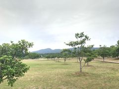 -钟山体育运动公园