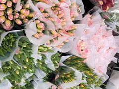 -循礼门鲜花花市(武汉循礼门店)