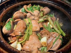 -煲煲好(朝阳门店)