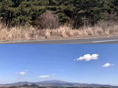-涉地可支