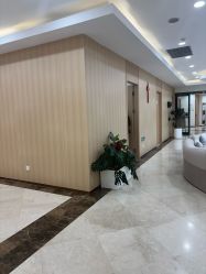 -上海伊莱美医疗美容医院