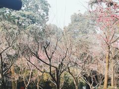 -成都杜甫草堂博物馆
